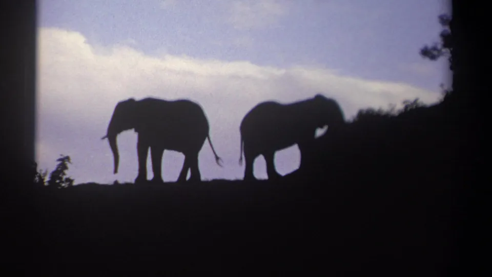 Two elephants appear in silhouette on a ridge in 1969 Kenya home-movie footage, with blue-purple sky and dark frame edges.