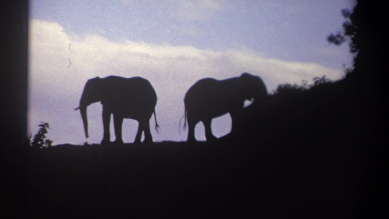 In this Kenya 1969 8mm frame, two elephants are silhouetted on a hilltop ridge under a softly clouded evening sky.