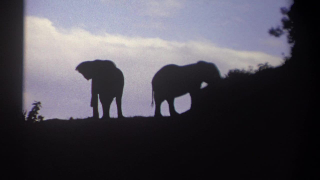 1969 Kenya 8mm frame showing two elephants in dark silhouette on a hilltop against pale clouds and sky.