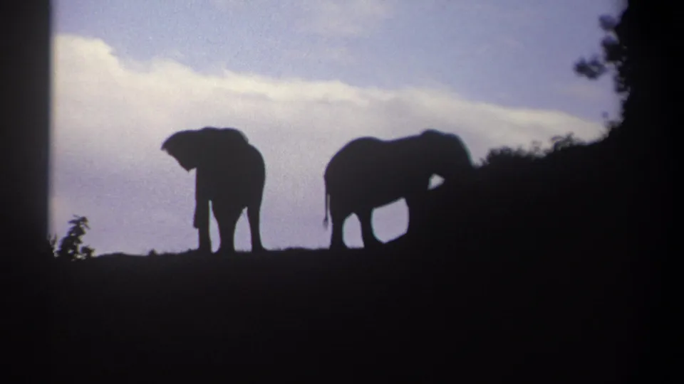 1969 Kenya 8mm frame showing two elephants in dark silhouette on a hilltop against pale clouds and sky.