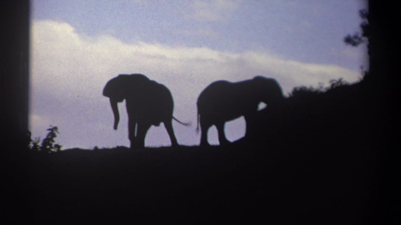 Two elephant silhouettes walk along a ridge with clouds behind them.