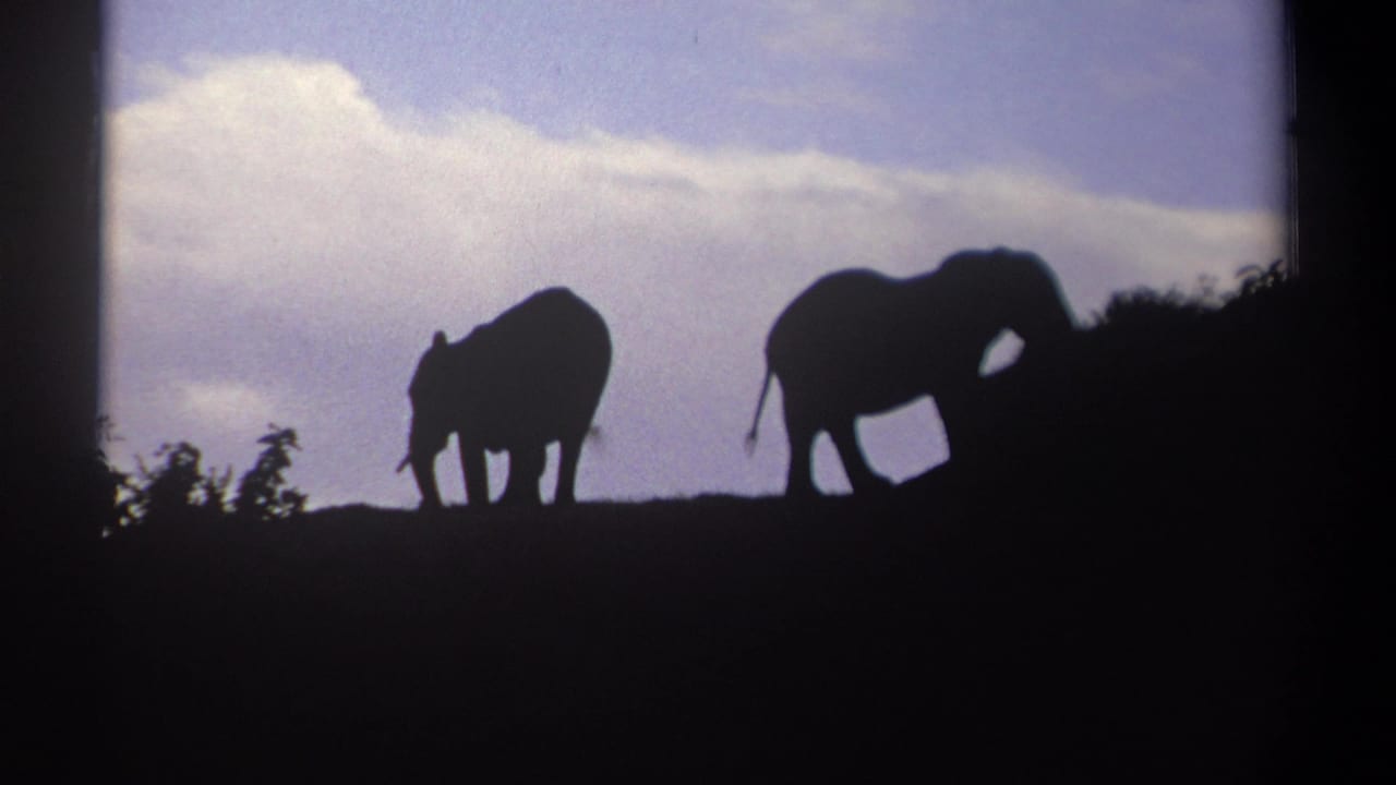 1969 Kenya 8mm frame showing two elephants in silhouette on a ridge, with scrub at the edge and pale clouds behind them.