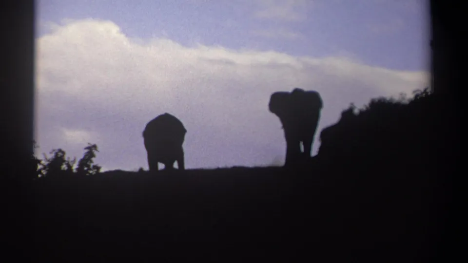 Kenya 1969 8mm frame showing one elephant lowered toward the ridge and another upright in silhouette against clouds.