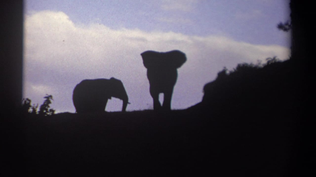 1969 Kenya 8mm frame showing two elephants in dark silhouette along a ridge under pale blue sky and clouds.
