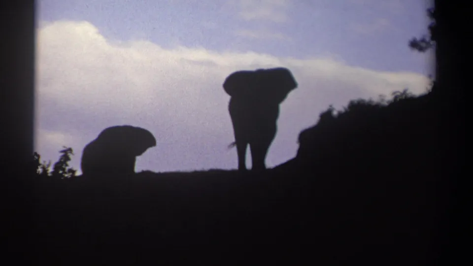 1969 Kenya 8mm still showing two elephants in silhouette, one lower to the ground, on a dark ridge below clouds.