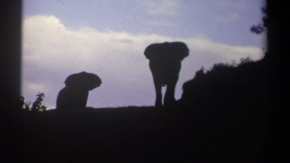 1969 Kenya frame of a smaller elephant and adult elephant silhouetted on a ridge, with blue sky and clouds behind.