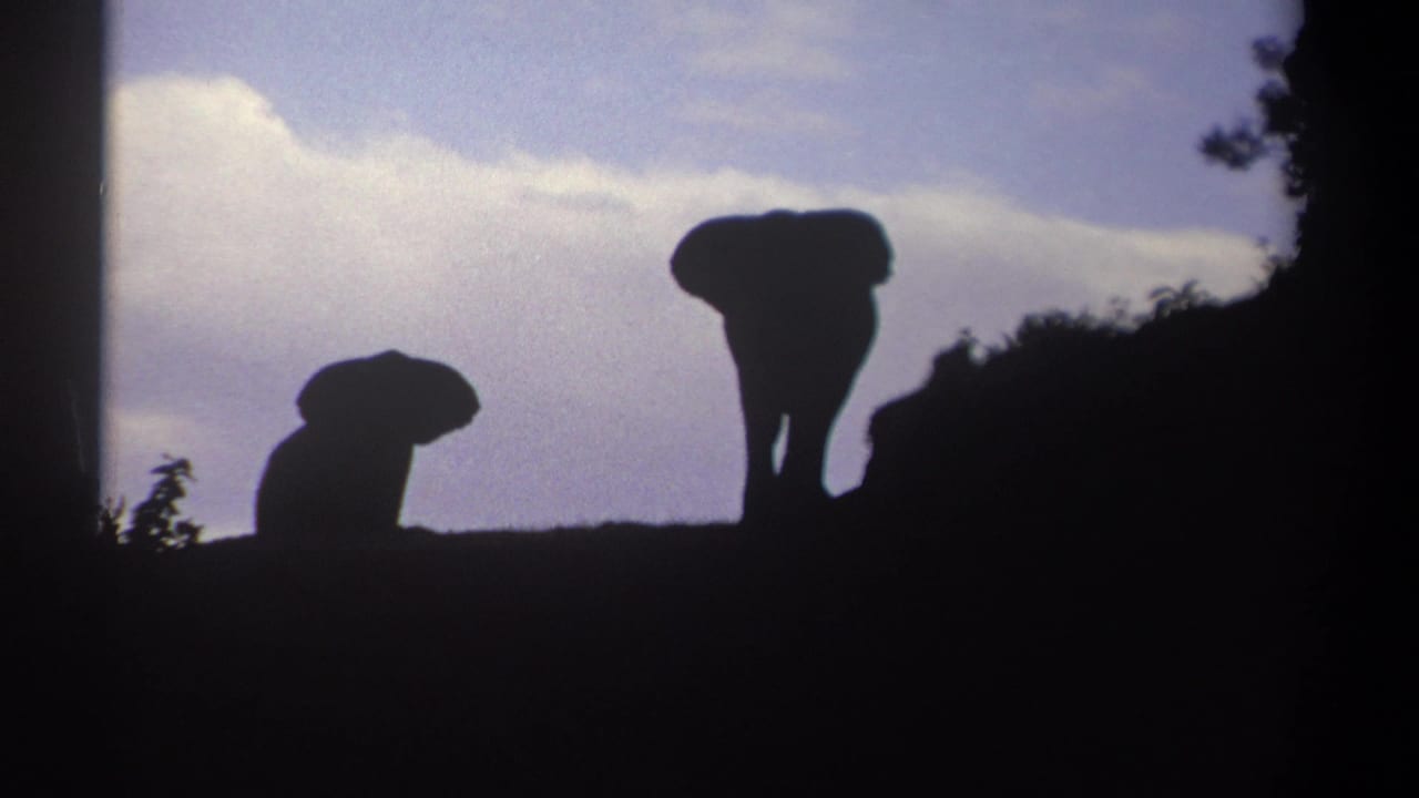 1969 Kenya 8mm frame showing two distant elephant silhouettes on a ridge beneath a blue-purple dusk sky.