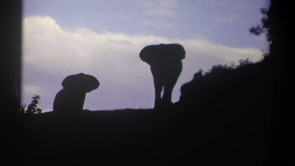 1969 Kenya 8mm frame showing two distant elephant silhouettes on a ridge beneath a blue-purple dusk sky.
