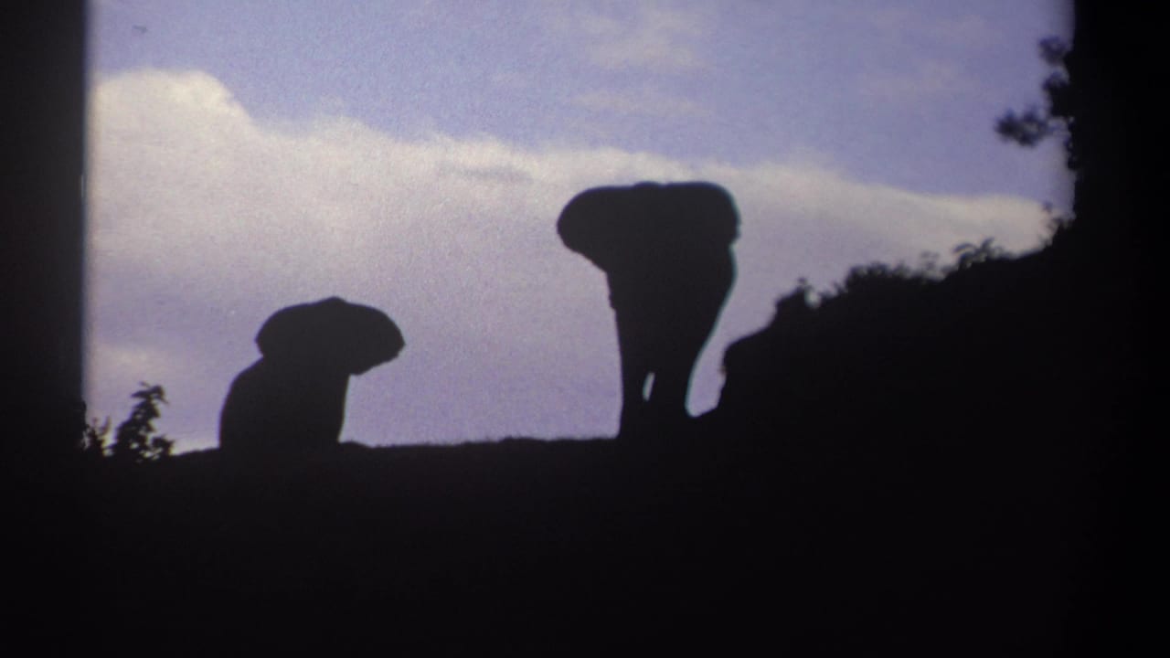 1969 Kenya wildlife footage frame with a larger and smaller elephant silhouetted on a hilltop at dusk.