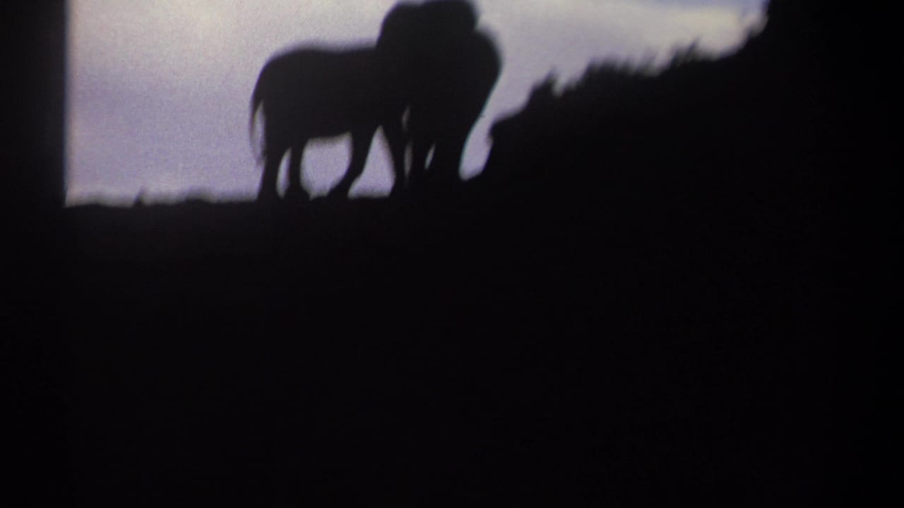 1969 Kenya 8mm frame where two elephant silhouettes partially overlap beside a dark hillside under a pale sky.