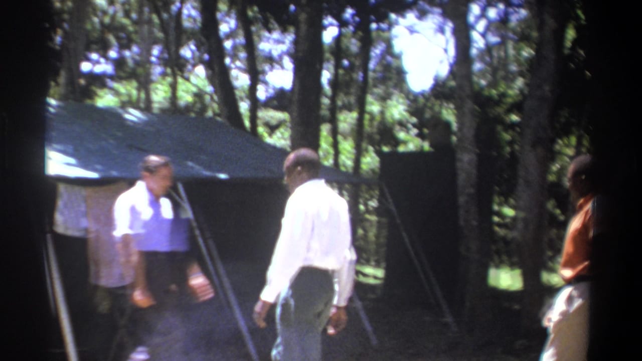 Two men walk near a large tent beneath trees in bright sun and shade.
