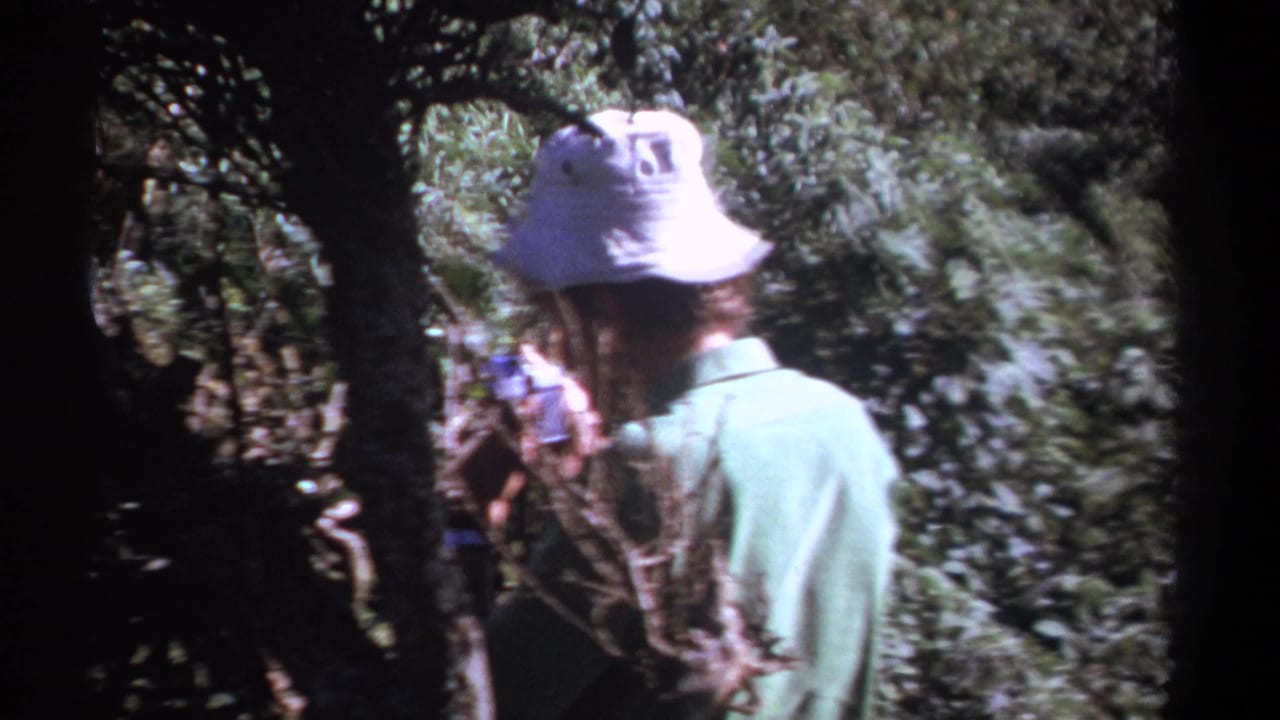 1969 Kenya 8mm frame showing a person in a white bucket hat and pale green shirt partly obscured by forest foliage while holding a camera.