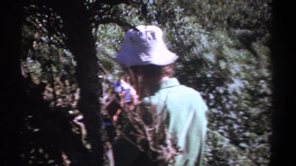 1969 Kenya 8mm frame showing a person in a white bucket hat and pale green shirt partly obscured by forest foliage while holding a camera.