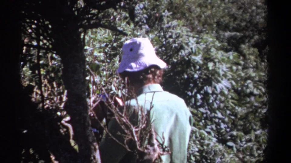 1969 Kenya home-movie frame of a hat-wearing person in a pale green shirt standing amid trees and thick vegetation.