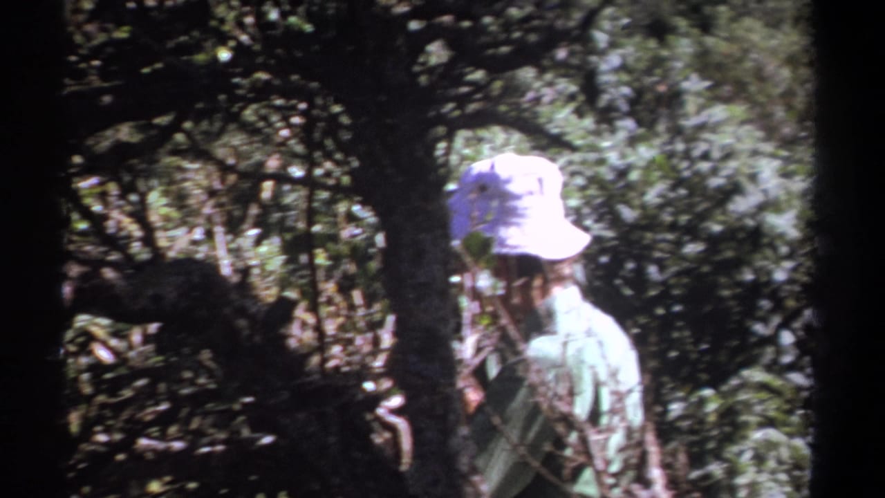 1969 Kenya 8mm frame with a person in a white bucket hat and green shirt passing through shaded forest growth.
