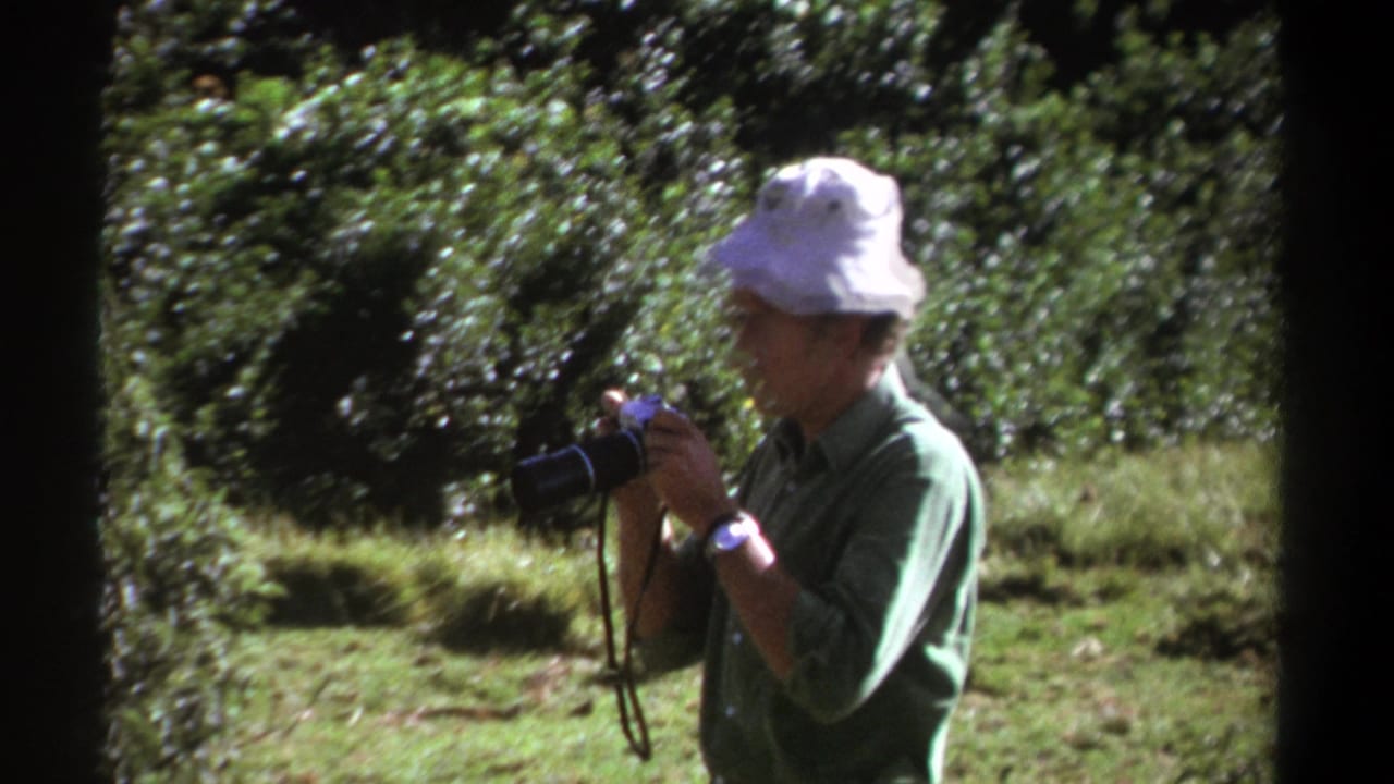 Man in a white hat raises a camera with a long lens toward dense green foliage.