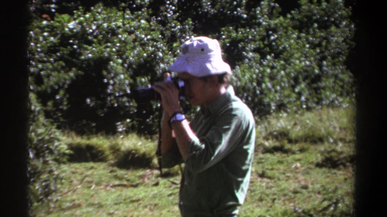 In 1969 Kenya home-movie footage, a man in a white bucket hat and green shirt photographs greenery with a long-lens camera.