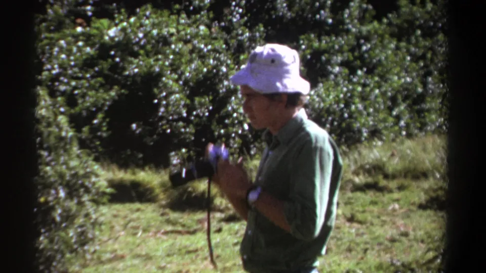 In the Kenya 1969 home movie, the man lowers his camera, with the strap hanging against his green shirt.