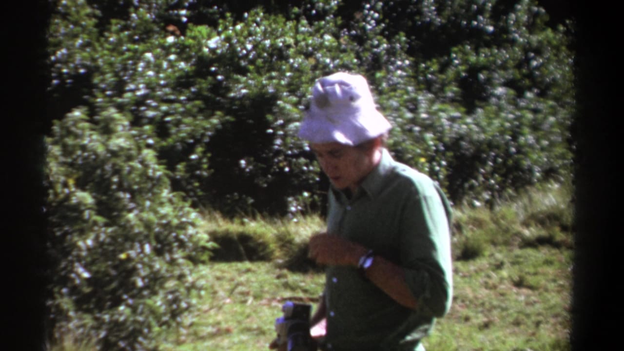 In Kenya 1969 home-movie footage, an adult man in a white bucket hat moves through a wooded area with camera gear in hand.