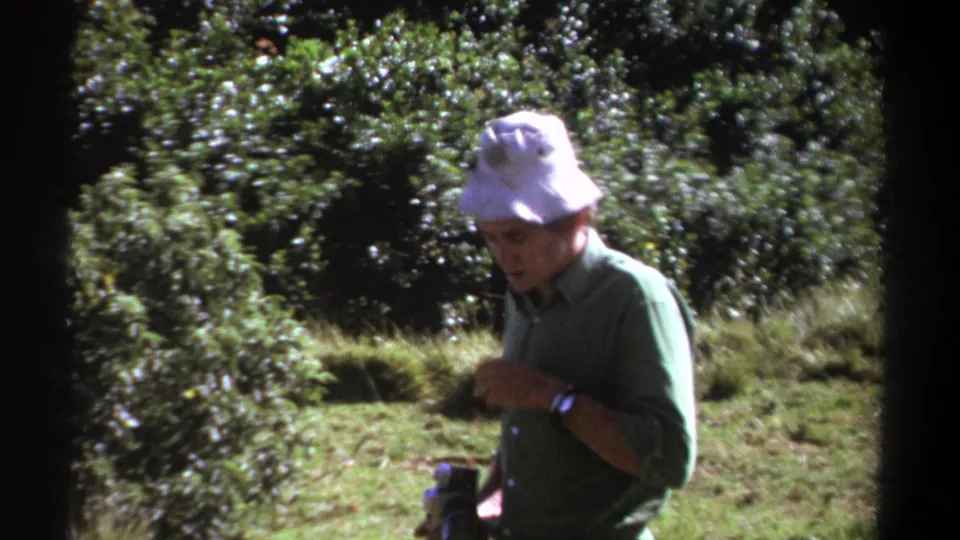 In Kenya 1969 home-movie footage, an adult man in a white bucket hat moves through a wooded area with camera gear in hand.