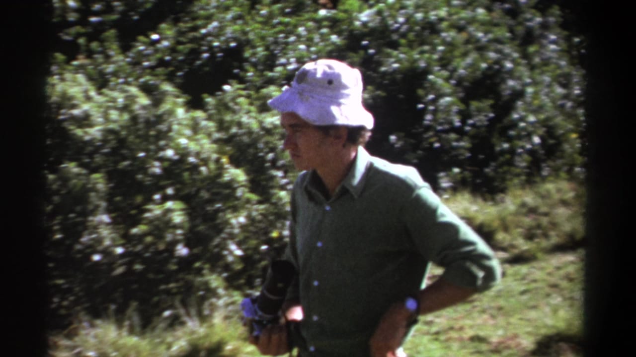 Man in bucket hat stands among trees with a dark camera held near his side.