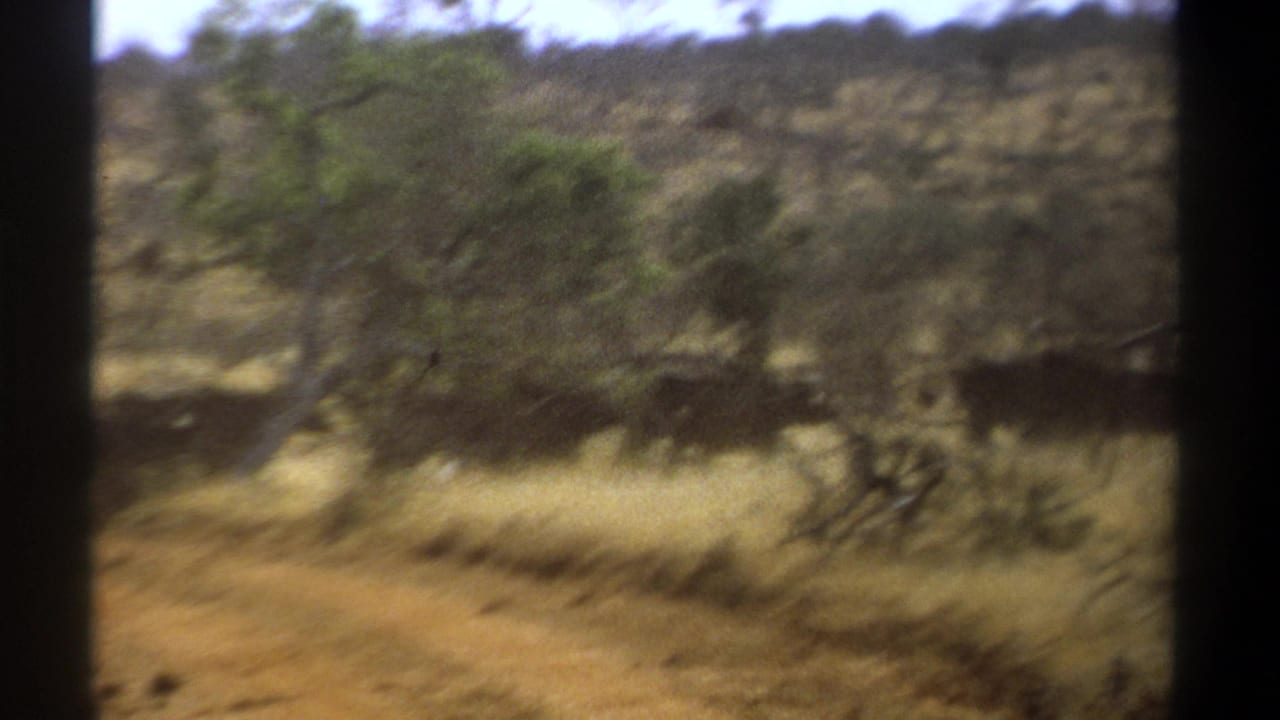 1969 Kenya home-movie frame showing a dry savanna track, sparse trees, shrubs, and distant large mammals beyond dark film borders.