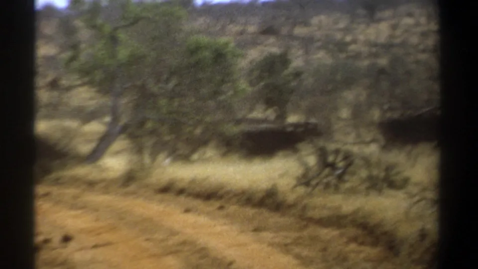 1969 Kenya 8mm frame with a dusty track, sparse trees, dry grass, and blurred large mammals crossing the background.