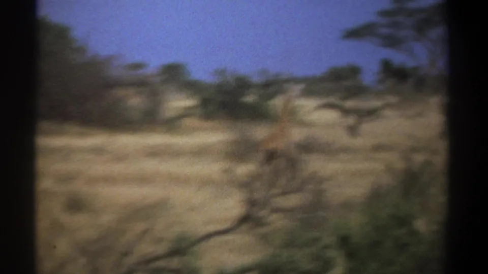 1969 Kenya 8mm frame showing a distant giraffe moving through dry savanna with scattered trees under a blue sky.