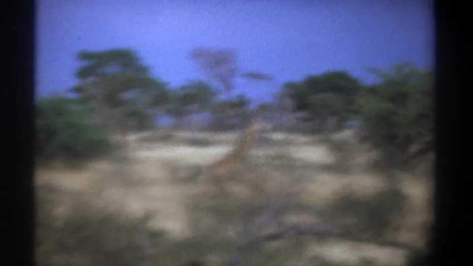 End frame from 1969 Kenya 8mm safari footage, with the savanna blurred as the giraffe becomes difficult to distinguish.