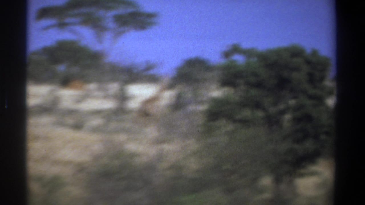 1969 Kenya 8mm frame showing dry, tree-dotted savanna seen from a moving home-movie viewpoint.