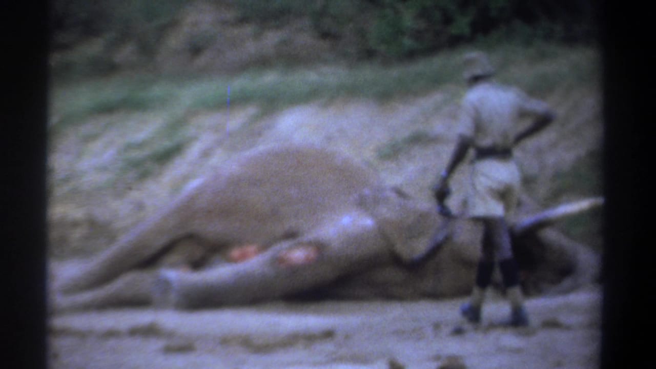 Kenya 1969 8mm frame showing a man in light safari attire beside a large motionless elephant with visible wounds.