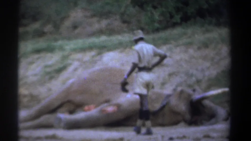 Kenya 1969 frame of a man in safari attire standing near a fallen elephant on dry ground with vegetation behind.
