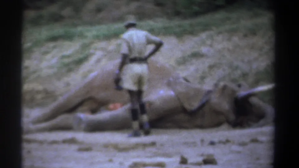 Kenya 1969 home-movie frame with the man viewed from behind near a large motionless elephant in a dry safari landscape.