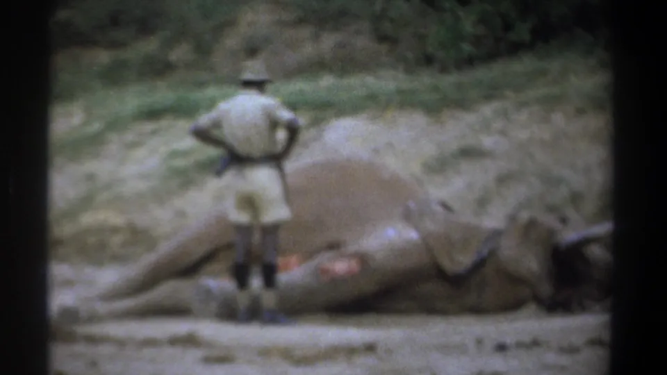 1969 Kenya footage frame with a safari-clad man standing near a dead or motionless elephant in a dry clearing.
