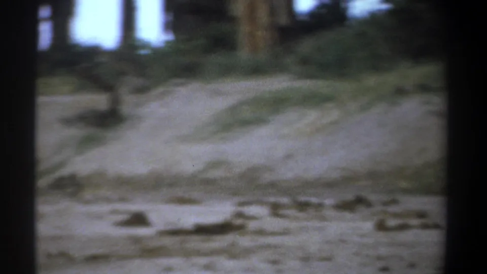Soft 8mm frame from the Kenya clip showing the sandy ground and trees as the camera shifts away from the elephant.