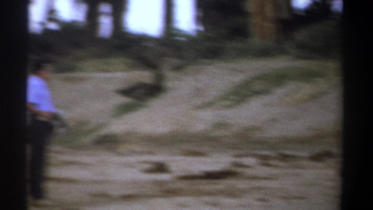 Man standing beside a dusty road as a light safari vehicle approaches in the distance.
