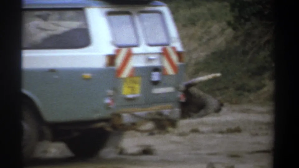1969 Kenya frame showing a light safari vehicle with rear markings passing a deceased elephant on a dusty roadside.