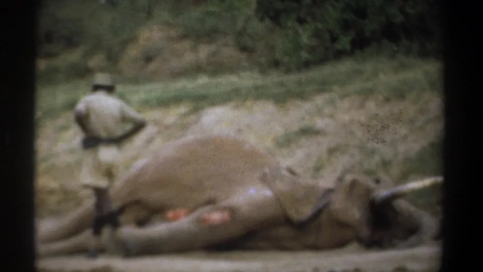 1969 Kenya home-movie frame with a uniformed figure near a deceased elephant on a sandy road edge.