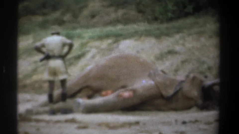 In the 1969 Kenya scene, a helmeted man stands with hands on hips beside an elephant lying on its side.