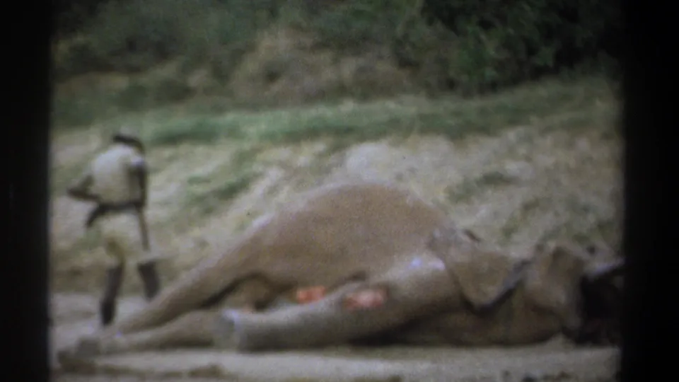 1969 Kenya 8mm frame showing a man approaching a dead elephant on a dirt road, with trees and a grassy bank behind them.