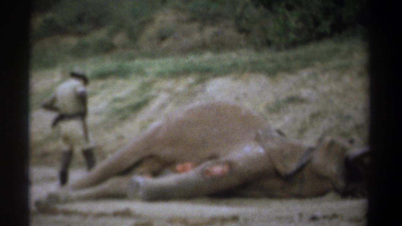 1969 Kenya 8mm frame showing a man in light safari attire near a dead elephant on sandy ground with brush behind it.