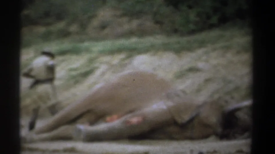 1969 Kenya home-movie frame with a dead elephant on its side and a man in safari attire walking behind it.