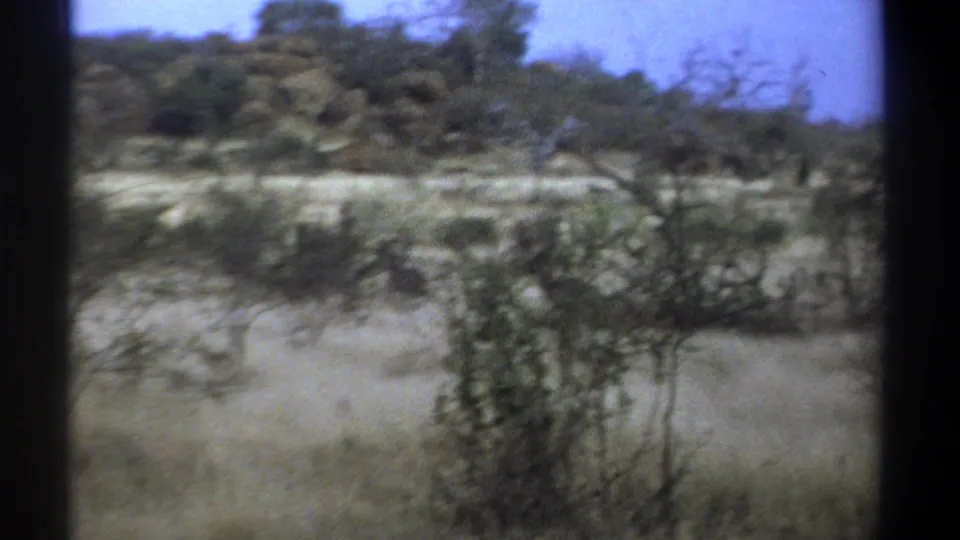1969 Kenya 8mm frame with motion-blurred scrub, dry grass, low trees, and visible film-gate borders.