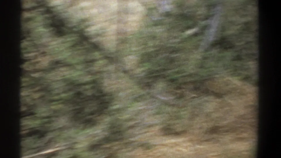 1969 Kenya 8mm frame with blurred grassland, scattered trees, and strong handheld motion before the herd is clearly framed.