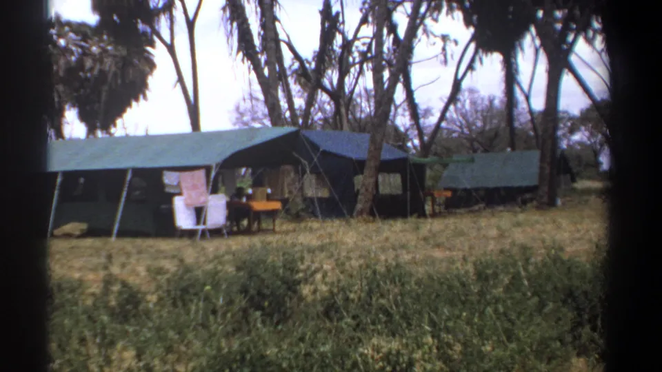 A wide Kenya camp view shows green canvas tents set among tall trees and dry grass, with small figures near the tents.