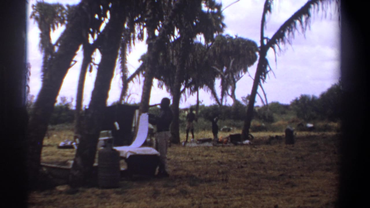 Person standing near a white chair or cloth with laundry items under tall trees.