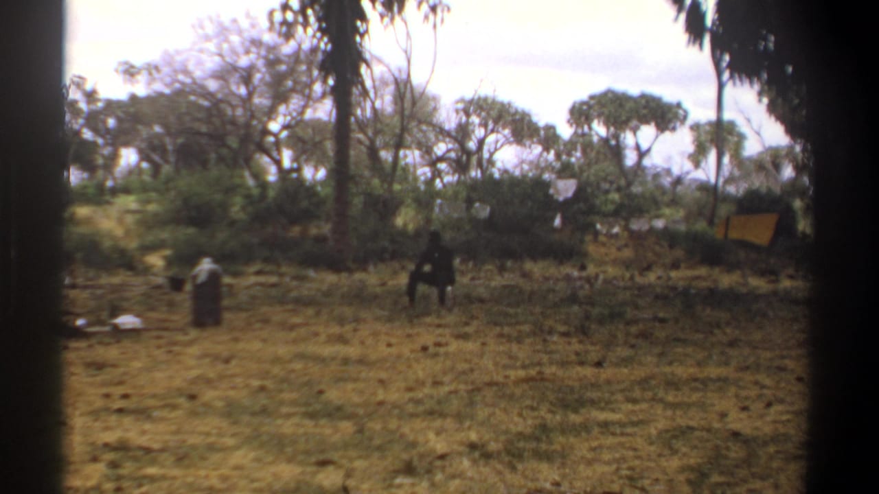 Distant people in a dry clearing with trees, brush, and dark edge obstruction.