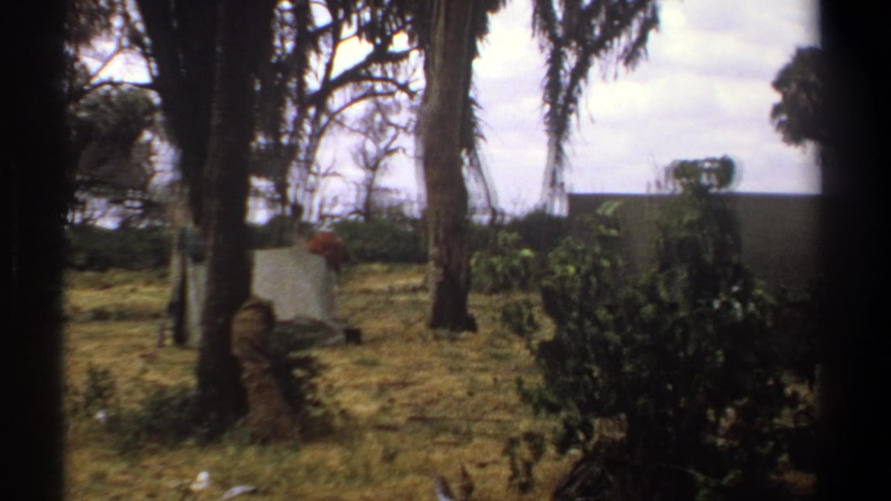 Person near a pale canvas shelter among trees and dry grass.