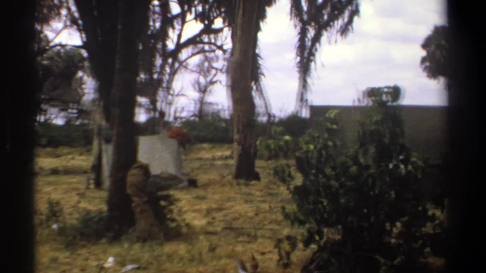 1969 Kenya 8mm frame with a distant person beside a pale canvas shelter in a palm-lined campsite.