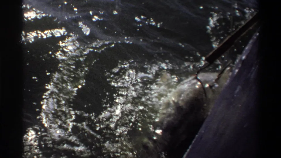 1969 Nigeria 8mm frame showing a fish splashing beside the boat, with a partial view of a person nearby.